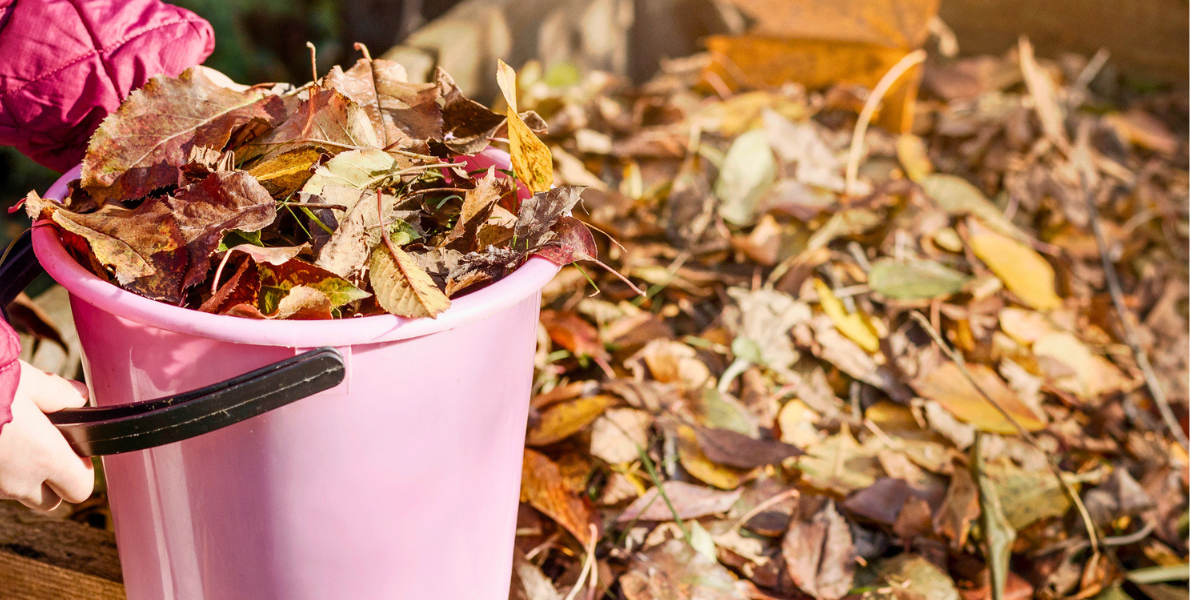 Leaf Pile
